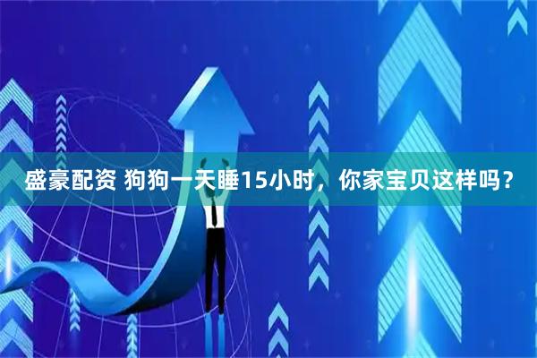 盛豪配资 狗狗一天睡15小时，你家宝贝这样吗？