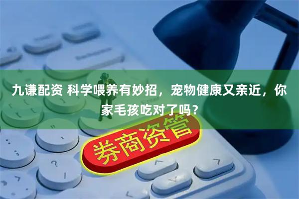 九谦配资 科学喂养有妙招，宠物健康又亲近，你家毛孩吃对了吗？