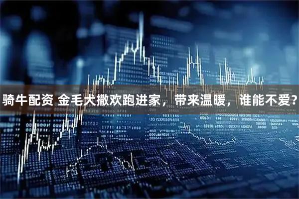 骑牛配资 金毛犬撒欢跑进家，带来温暖，谁能不爱？