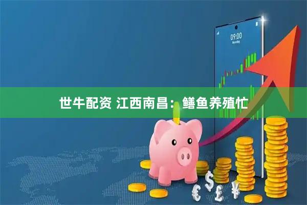 世牛配资 江西南昌：鳝鱼养殖忙