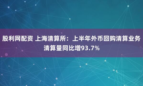股利网配资 上海清算所：上半年外币回购清算业务清算量同比增93.7%
