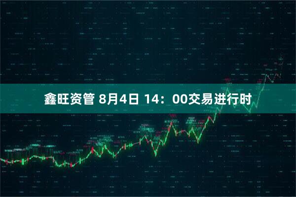 鑫旺资管 8月4日 14：00交易进行时