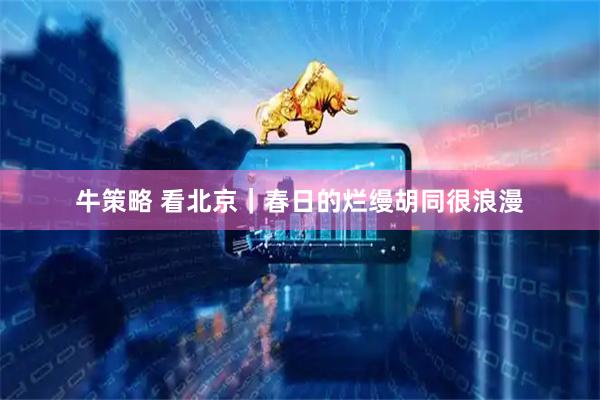 牛策略 看北京｜春日的烂缦胡同很浪漫